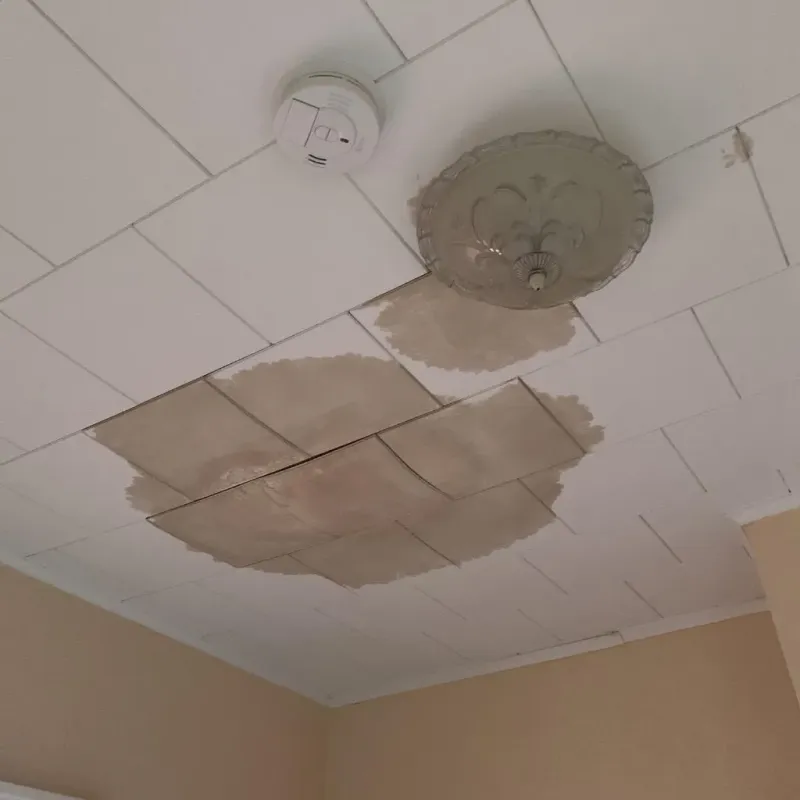 Ceiling Water Damage Repair in City of Lynchburg, VA