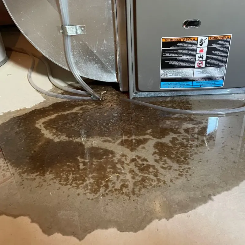 Pipe Burst and Leak Restoration in City of Lynchburg, VA