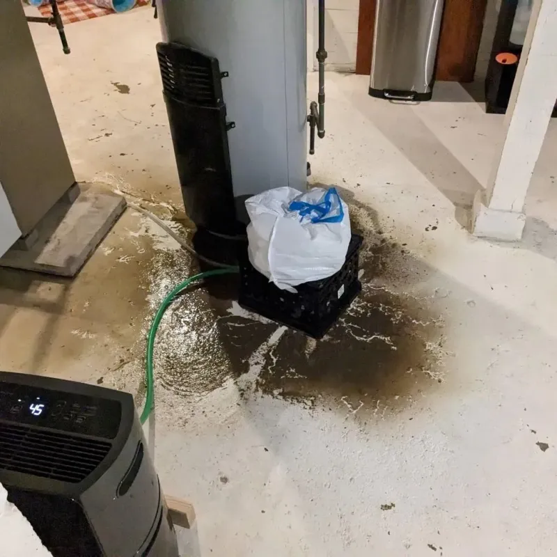 Sewage Backup Cleanup Service in City of Lynchburg, VA